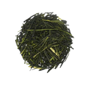 SENCHA