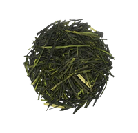 SENCHA