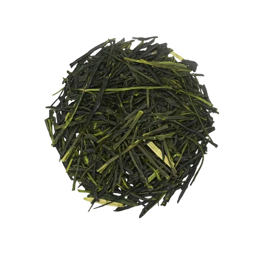 SENCHA