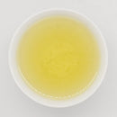 SENCHA